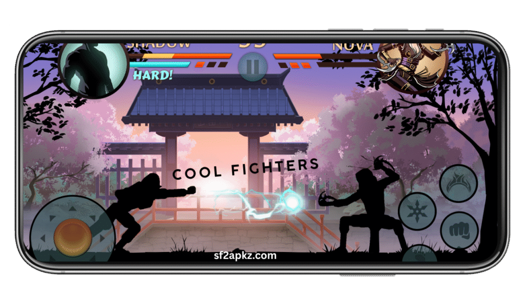 Cool Shadow Fighters